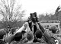 CHS boys' soccer sectional trophy