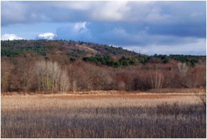 Fowl Meadow photo courtesy of Thomas Palmer, NepRWA