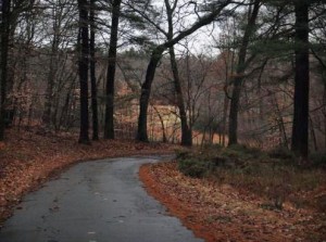 Hemenway Drive (photo by Denny Swenson)