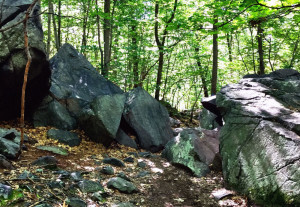 Wildcat Notch on a trail leading towards the summit of Great Blue Hill (Photo by the author)
