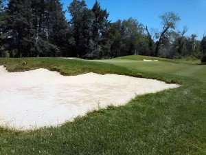 A view of the 13th hole at Ponkapoag's newly restored Course No. 1