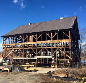 The historic Revere barn under renovation (Marcia Callahan photo)