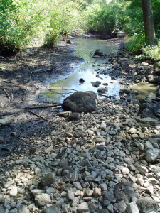 A tributary of the Neponset affected by drought (NepRWA photo)