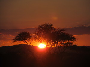 Sunset at the wildlife reserve that CHS students will be visiting