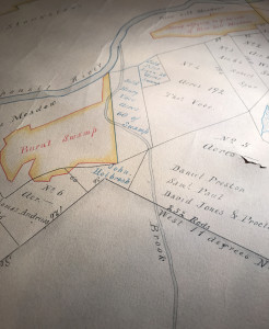 A detail of the Map of the Twelve Divisions drawn in 1697 by John Butcher