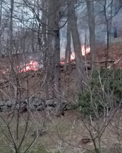 Brush fire in the woods off Cape Cod Circle (Photo courtesy of Joshua Richards)