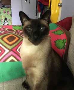 ming